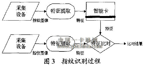 Fingerprint identification process