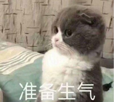 èŠ®è‰² - RUISE