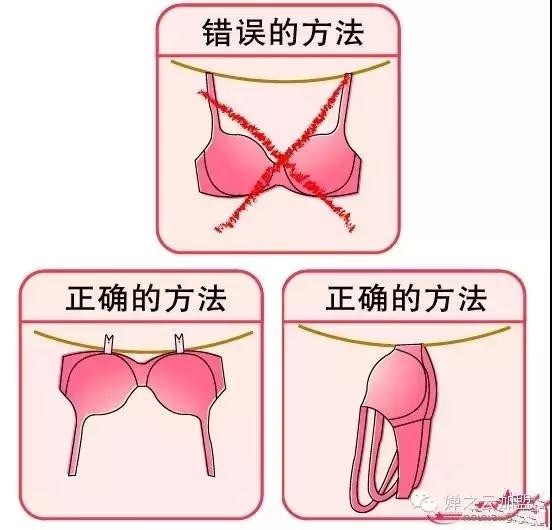 å…³äºŽæ–‡èƒ¸ä½ å¯èƒ½ä¸çŸ¥é“çš„ä¸€äº›äº‹å„¿ å¿«æ¥äº†è§£ä¸€ä¸‹å§