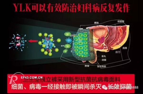 é©¬äº‘ä¹Ÿåœ¨ç©¿çš„ä¸€æ¡å†…è£¤ï¼ä¸ºä»€ä¹ˆè¶Šæ¥è¶Šå¤šçš„äººé€‰æ‹©YLKåŠŸèƒ½åž‹é“¶ç«‹è£¤ï¼