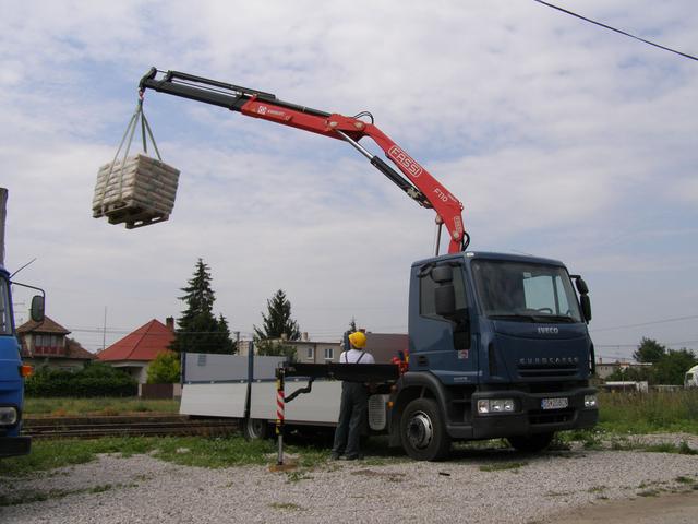 Which cranes and truck cranes are better able to feed their families?