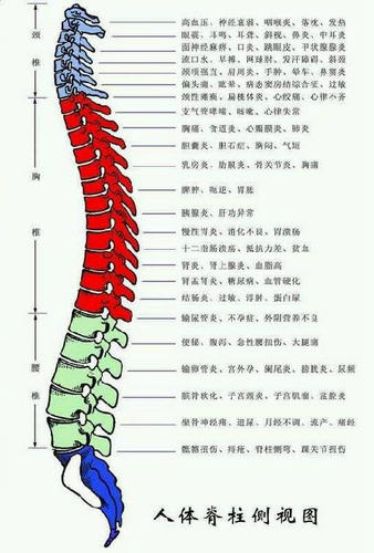 Caring for the health of the spine is very important