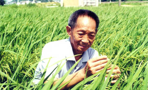 The excellent variety of Academician Yuan Longping represents A, which is an increase in technical content. The seed of Academician Yuan Longping was not given by God. It was the seed that he had worked hard through scientific experiments and screening for many years. This seed is much higher in seed technology than farmers. If we look for Academician Yuan Longping, it is to shift the power of agricultural production from capital accumulation to technological innovation. This is the core content we want to talk about today. This is the economic law we are going to talk about today.