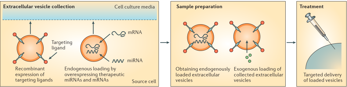 Figure 7.png