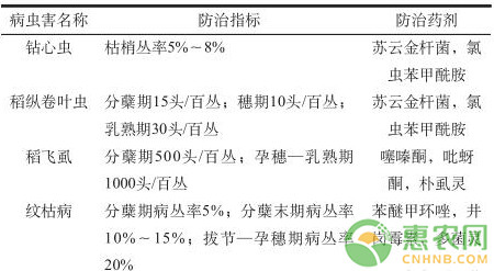 ç¨»è™¾è½®ä½œå…±ç”Ÿç§å…»æŠ€æœ¯ï¼ˆæ´žåº­æ¹–åŒºï¼‰