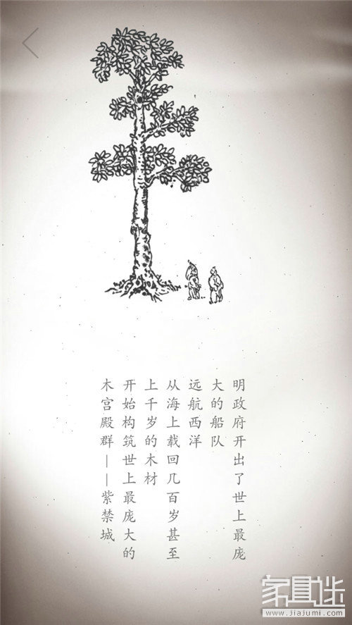 Wood (0)_1.jpg