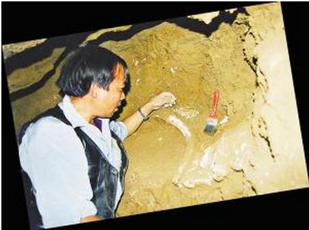 Archaeologists dig fossils in labyrinth cave (datasheet)