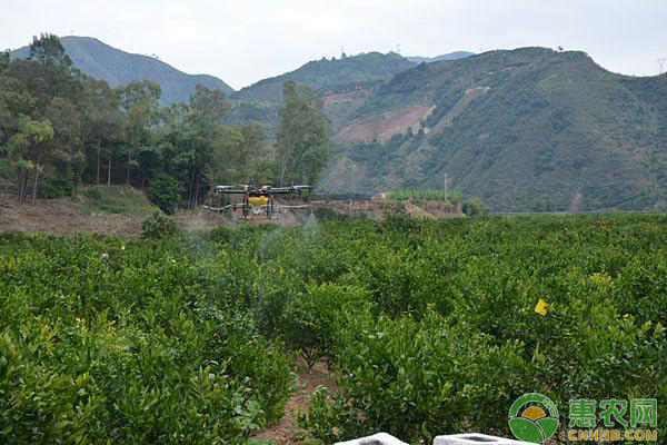 å¤å­£å¦‚ä½•å–·æ–½å†œè¯ï¼Ÿé«˜æ¸©å¤šé›¨å¤©æ°”å–·æ–½å†œè¯ä¹å¤§æ³¨æ„ç‚¹