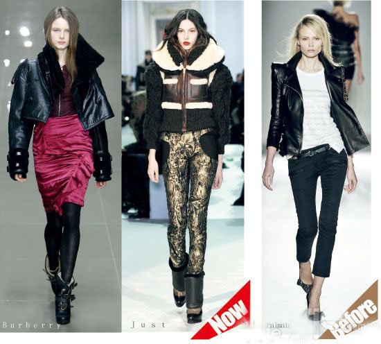 Resisting cold winds - Leather furnishing details (Figure 2)