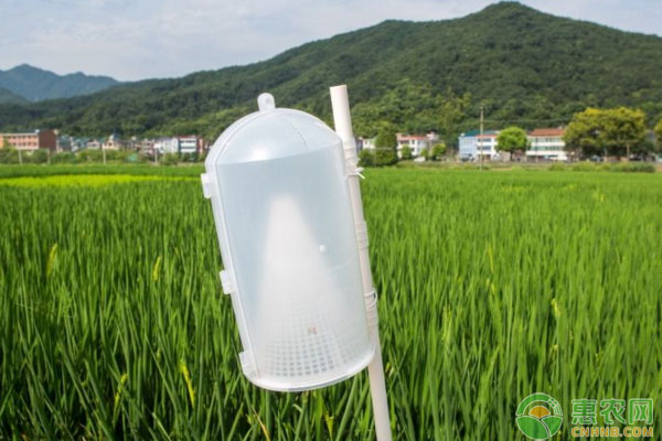 æ°´ç¨»äºŒåŒ–èžŸé˜²æ²»è¯±æ•å™¨å“ªç§å¥½ï¼Ÿé£žè›¾è¯±æ•å™¨å’Œæ°´ç›†è¯±æ•å™¨å¯¹æ¯”