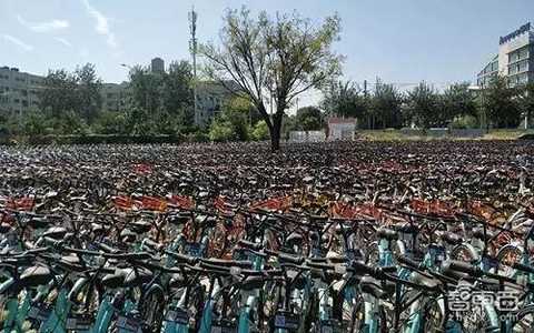In Beijing, a large number of shared bicycles are locked in the construction site.