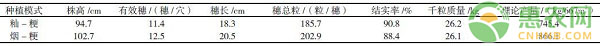 æ±Ÿè¥¿çœå³¡æ±ŸåŽ¿â€œçƒ¤çƒŸ- ç²³ç¨»â€é«˜äº§é«˜æ•ˆæ ½åŸ¹æŠ€æœ¯