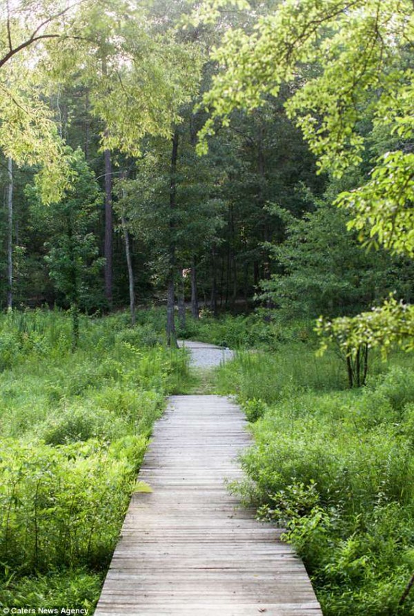 Cement-free hardened trail system