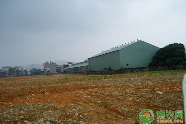 å·§ç”¨ç”ŸçŸ³ç°è§£å†³åœŸå£¤é…¸åŒ–ã€é˜²æ²»åœŸä¼ ç—…å®³é—®é¢˜