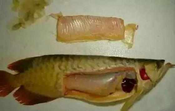 Fishing rod