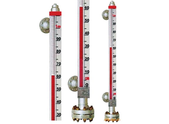 Briefly describe several structural forms of the float level gauge