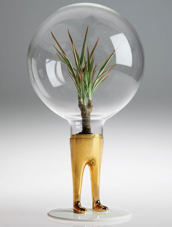 A beautiful set of creative flowerpots designed by designer Matteo Cibic looks like an inverted, twisted light bulb. The bottom pillar is designed like a villain's foot and stands very well. It is planted with plants that can be planted indoors, such as prickly pears and cacti. I wonder if these glass covers are special materials that can breathe? Otherwise how do these plants breathe?