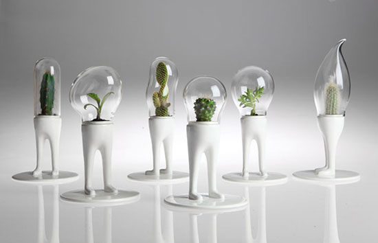 A beautiful set of creative flowerpots designed by designer Matteo Cibic, looks like an inverted, twisted light bulb, and the bottom pillar is designed like a villain's foot, standing very well. It is planted with plants that can be planted indoors, such as prickly pears and cacti. I wonder if these glass covers are special materials that can breathe? Otherwise how do these plants breathe?