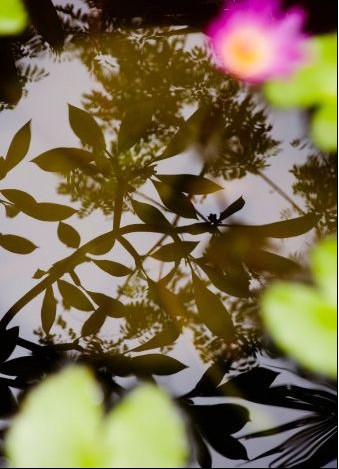 The feng shui of the home reveals the impact of the wind pool on the fortune