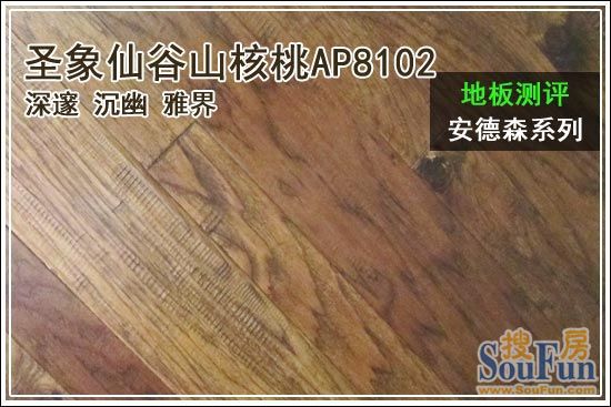 åœ£è±¡ä»™è°·å±±æ ¸æ¡ƒAP8102åœ°æ¿1