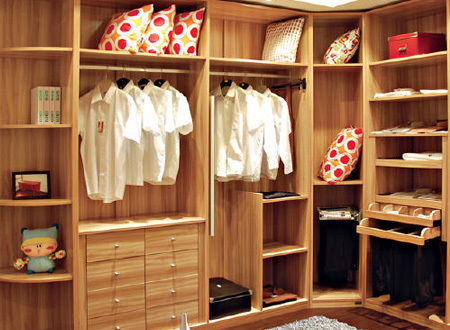 Innovative ability determines the market position of wardrobe enterprises