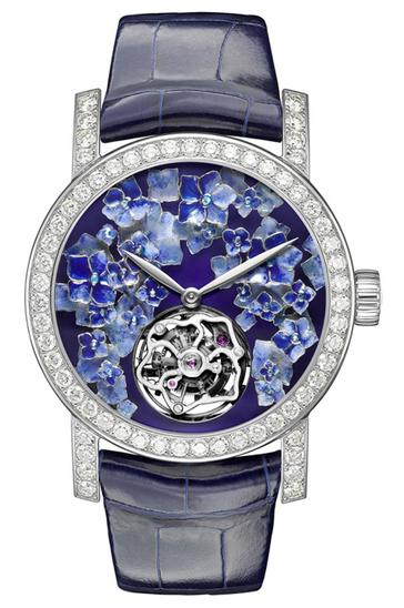 Hortensia senior watch series: white hydrangea