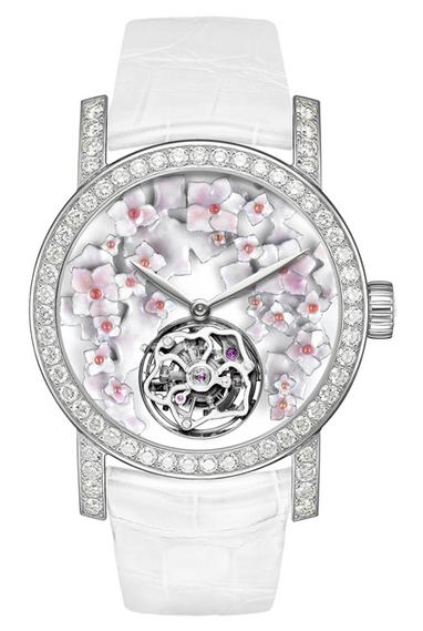 Hortensia senior watch series: flowers gorgeous