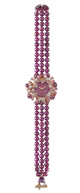 Hortensia senior watch series: flowers gorgeous