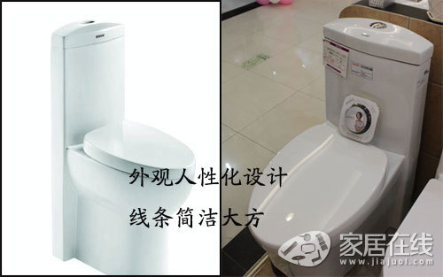 Brilliant 6T182 Toilet Evaluation