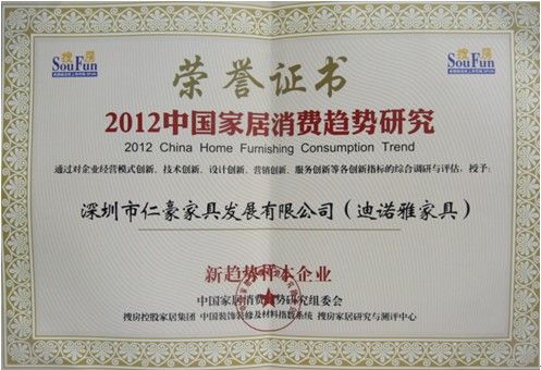 è¿ªè¯ºé›…å®¶å…· 2012ä¸­å›½å®¶å±…æ¶ˆè´¹è¶‹åŠ¿