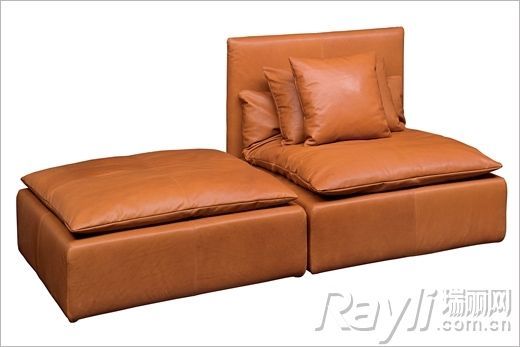 Identification and maintenance of leather furniture