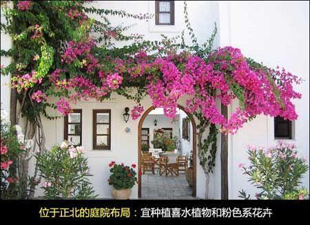 Ingenious layout of garden feng shui