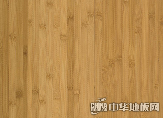 Bamboo floor detail illustration closeup