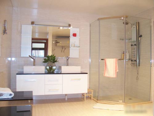 Bathroom glass partition renderings