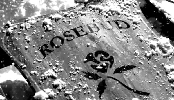 The picture shows the famous childhood stalk of "Citizen Kane"