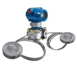 Double flange level transmitter