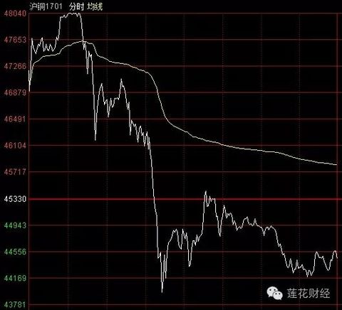 Commodity cattle are horrified by midnight 2