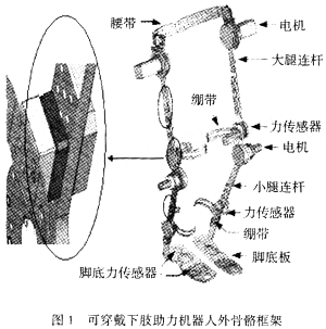 Wearable lower limb assisted robot exoskeleton frame