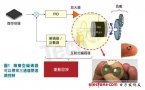 Introduction of new optical encoder technology that can improve the performance of miniaturized systems