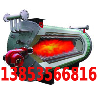 Shandong Longxing Heat Transfer Oil Boiler Principle