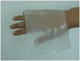 Transparent wound dressing (permeable membrane dressing) water vapor transmission detection