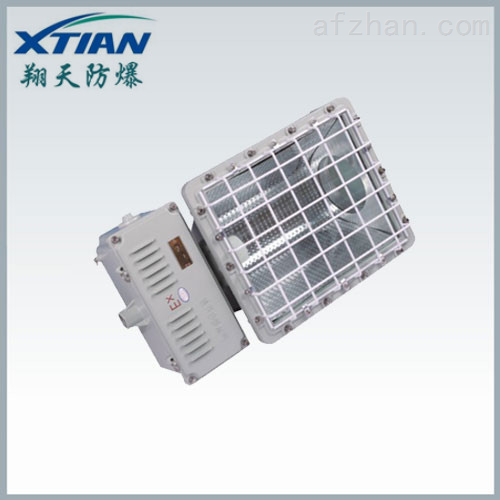 Explosion-proof flood light