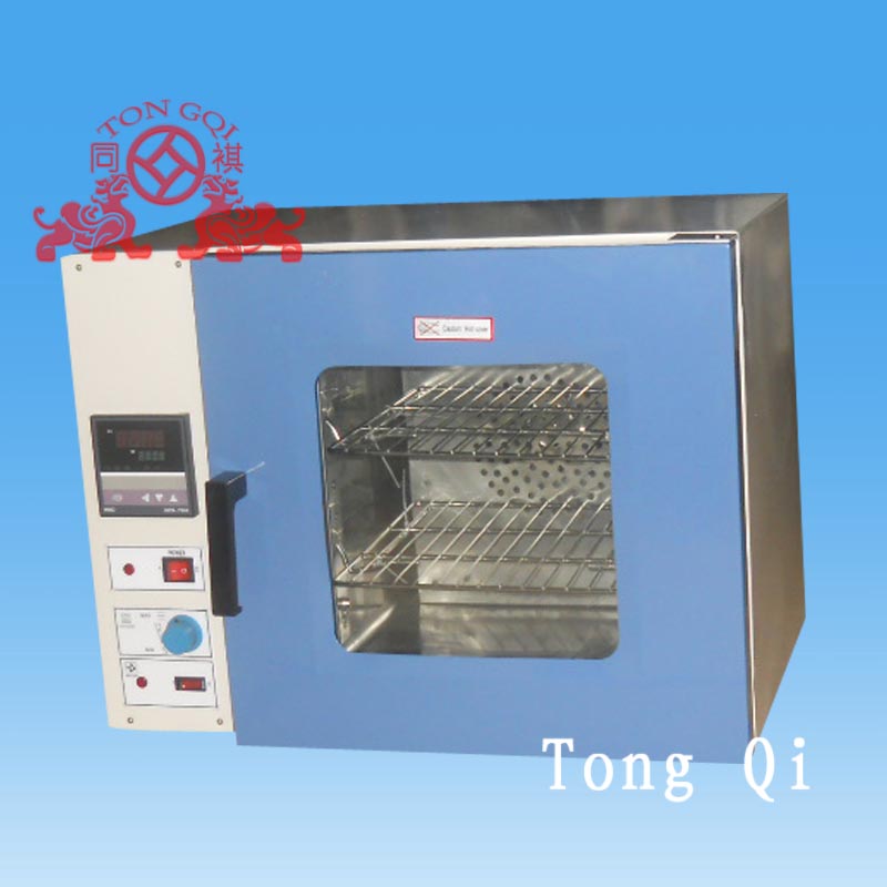 Electric blast drying oven manufacturers