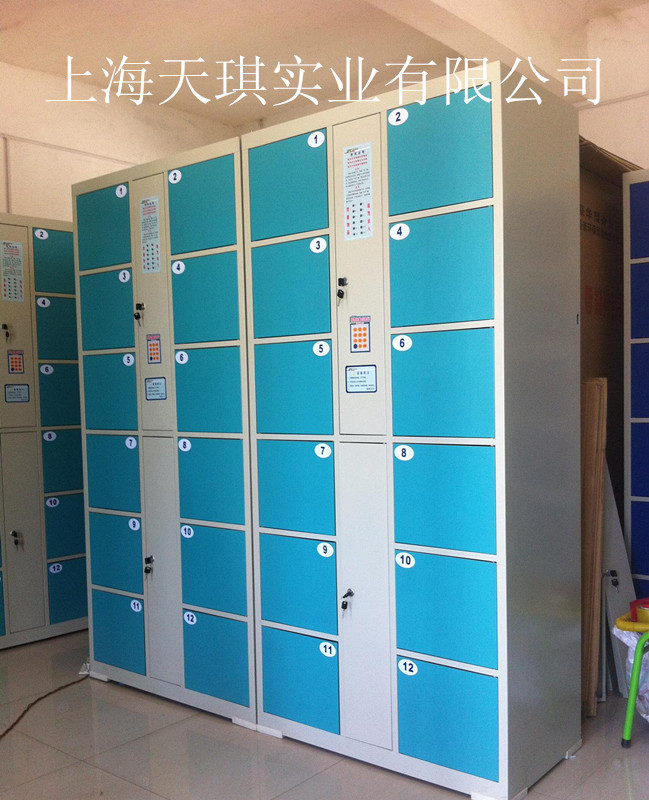 Electronic locker