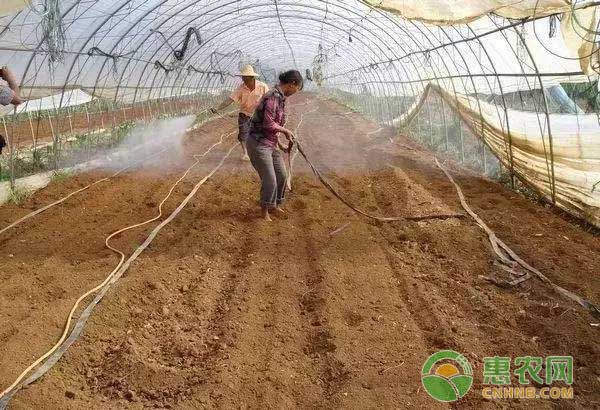  è¯å‰‚é—·æ£šæ­£ç¡®è¦†è†œä¹‹è¦†è†œå°‘ç”¨åœŸåŽ‹