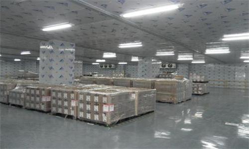 Large fruit and vegetable fresh-keeping cold storage installation