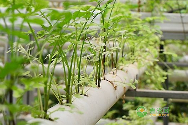 æ— åœŸæ ½åŸ¹åŸºè´¨æ–¹æ³•