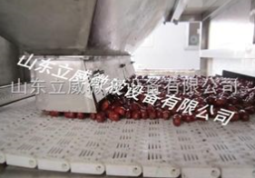 Pepper drying equipment