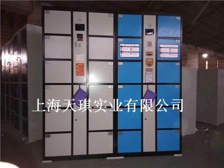 High quality electronic lockers are not your dish