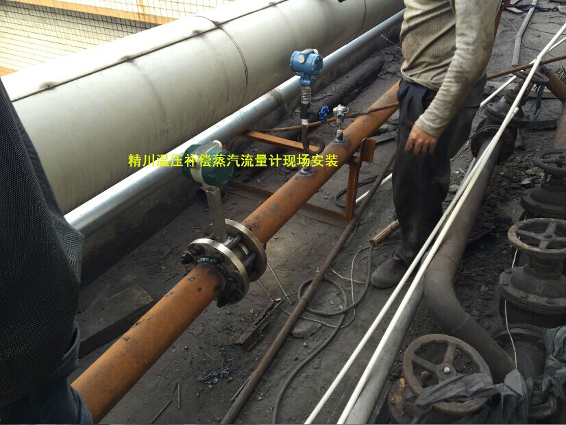 Vortex steam flowmeter